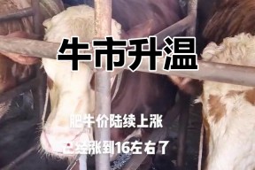 九游娱乐APP-火币冲破28.52美元大关，牛市是否已来临？的简单介绍