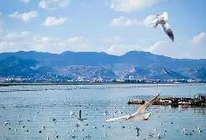 九游体育官网-滇池金雕队对阵中原雷霆队，摩托车赛杯赛爆冷，门将神扑救主——宿敌对话再升级