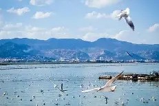 九游体育官网-滇池金雕队对阵中原雷霆队，摩托车赛杯赛爆冷，门将神扑救主——宿敌对话再升级