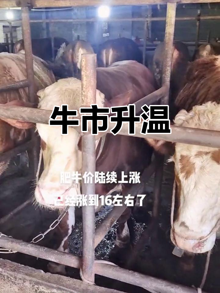 火币冲破28.52美元大关，牛市是否已来临？的简单介绍