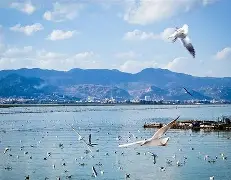 滇池金雕队对阵中原雷霆队，摩托车赛杯赛爆冷，门将神扑救主——宿敌对话再升级
